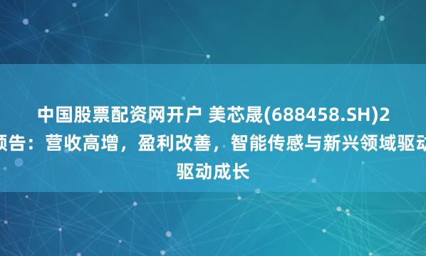 中国股票配资网开户 美芯晟(688458.SH)2025预告：营收高增，盈利改善，智能传感与新兴领域驱动成长