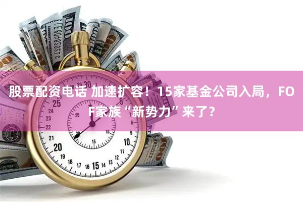股票配资电话 加速扩容！15家基金公司入局，FOF家族“新势力”来了？